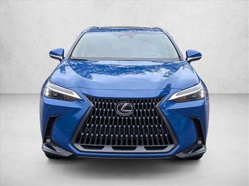 2025 Lexus NX 250 Premium