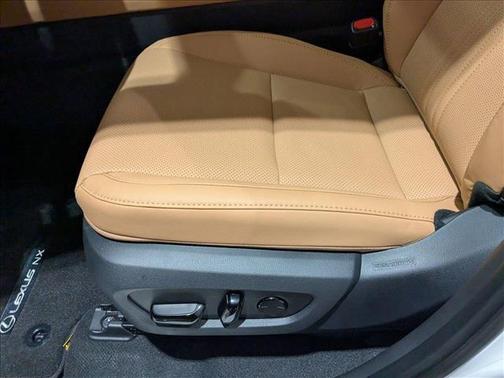 2025 Lexus NX 250 Premium