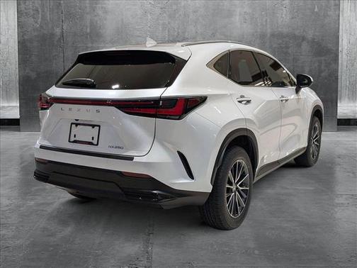 2025 Lexus NX 250 Premium
