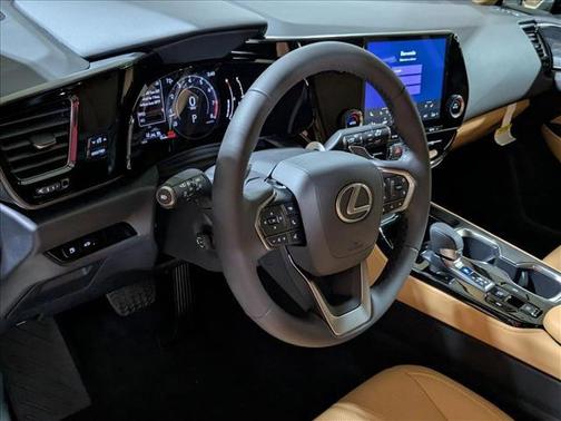 2025 Lexus NX 250 Premium
