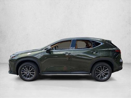 Nori Green Pearl 2024 Lexus NX 250 Premium
