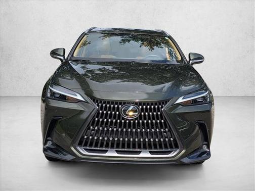Nori Green Pearl 2024 Lexus NX 250 Premium