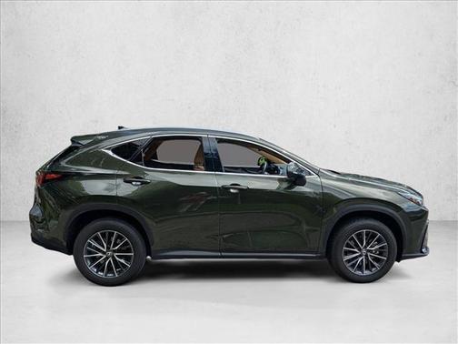 Nori Green Pearl 2024 Lexus NX 250 Premium