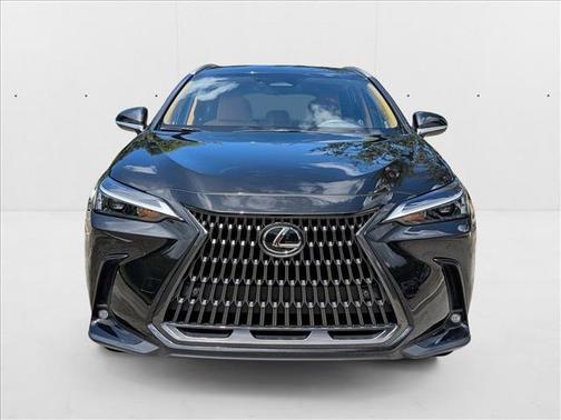 2025 Lexus NX 250 Base