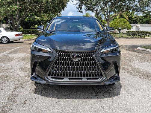 2025 Lexus NX 250 Base
