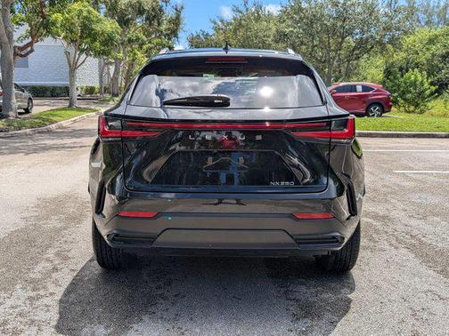 2025 Lexus NX 250 Base
