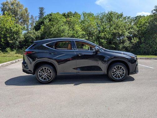 2025 Lexus NX 250 Premium