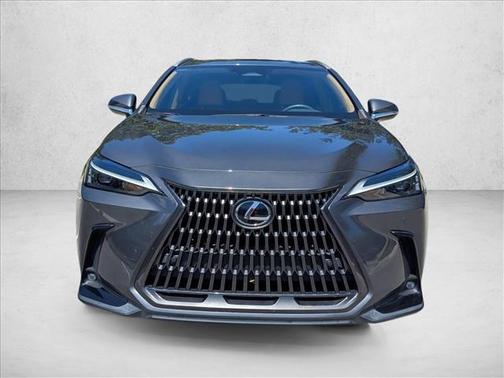 Cloudburst Gray 2024 Lexus NX 250 Premium