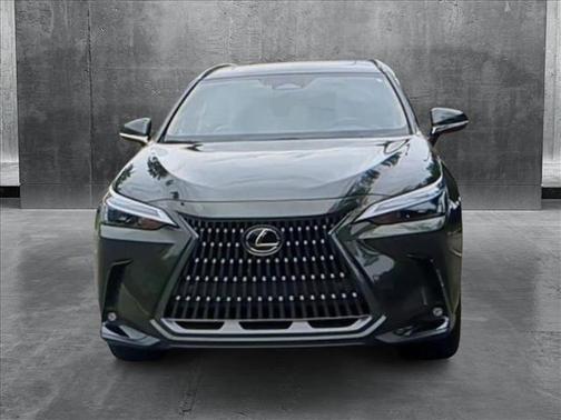 2025 Lexus NX 250 Premium
