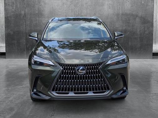 2025 Lexus NX 250 Premium