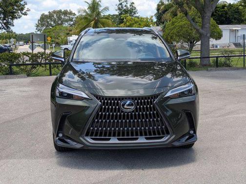 2025 Lexus NX 250 Premium