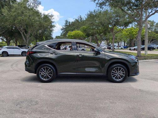 2025 Lexus NX 250 Premium