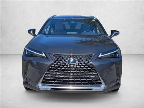 2025 Lexus UX 300h Premium