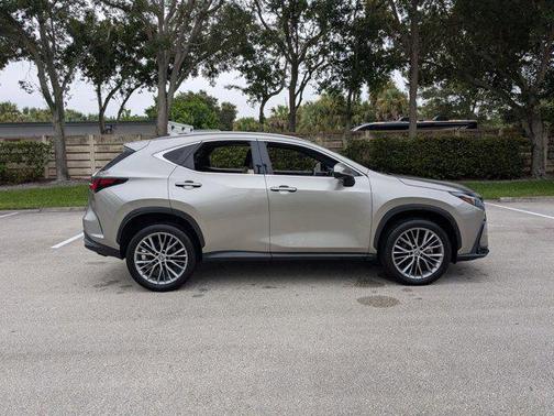 2023 Lexus NX 350h Premium