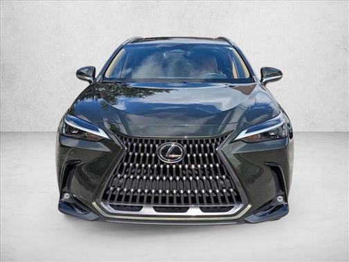 2024 Lexus NX 250 Premium