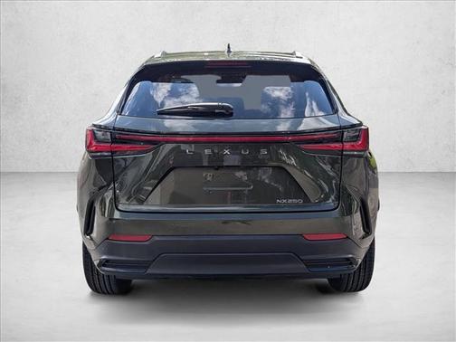 2024 Lexus NX 250 Premium