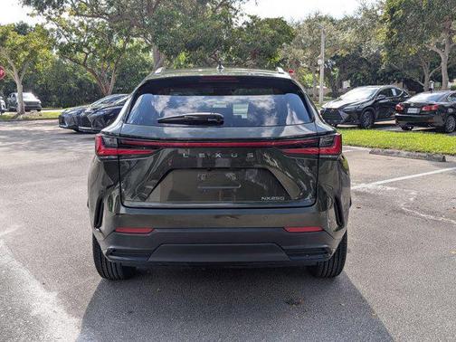 2024 Lexus NX 250 Premium
