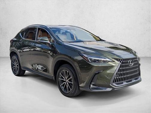 2024 Lexus NX 250 Premium