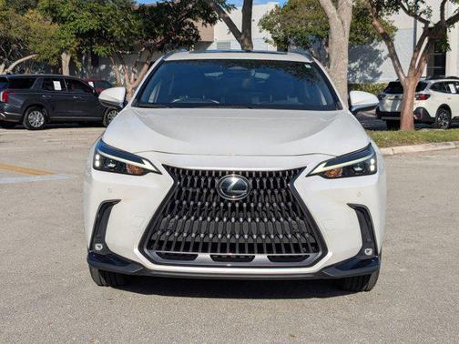 2023 Lexus NX 250 Premium