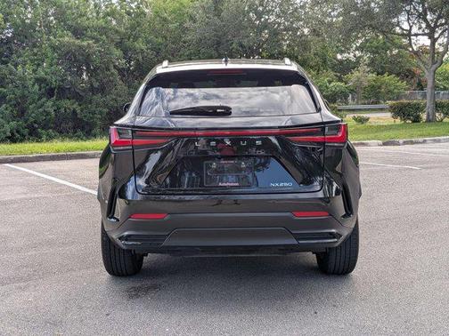 2025 Lexus NX 250 Base