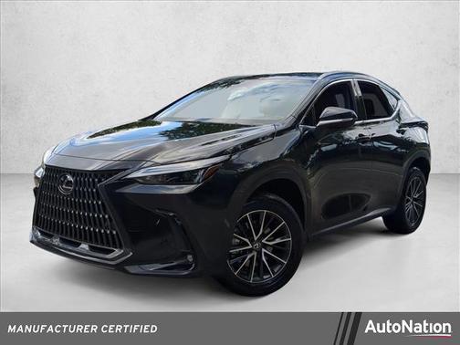 2025 Lexus NX 250 Base