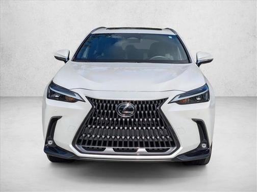 2024 Lexus NX 250 Premium