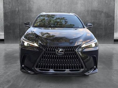 2025 Lexus NX 250 Premium
