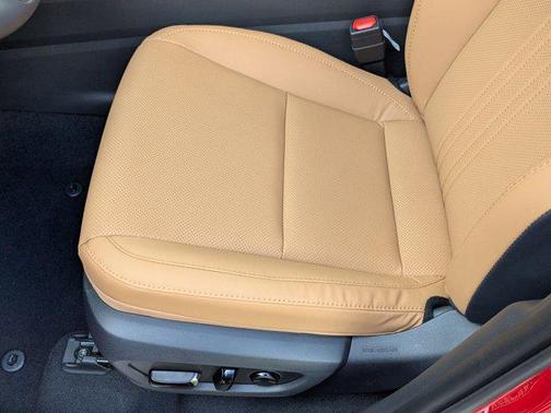 2025 Lexus NX 250 Base