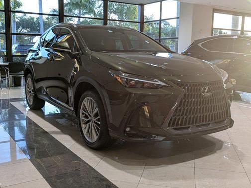 2025 Lexus NX 350 Premium