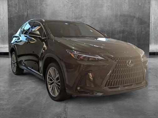 2025 Lexus NX 350 Premium