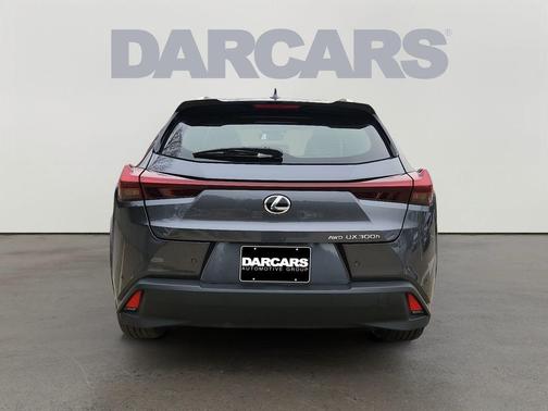 2025 Lexus UX 300h Premium