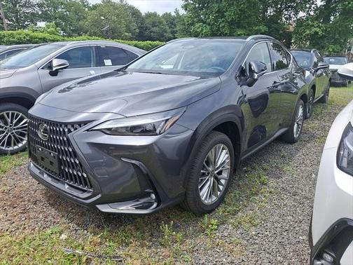2025 Lexus NX 350h Premium