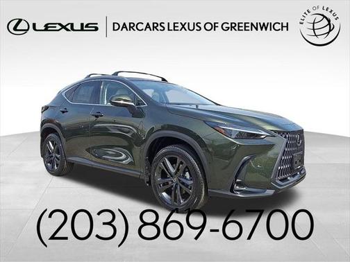 2025 Lexus NX 450h+ Luxury
