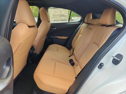 2025 Lexus UX 300h Premium