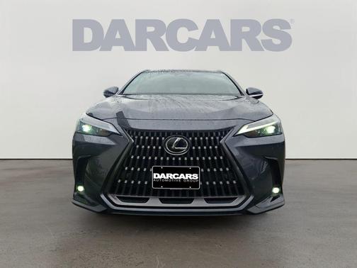 Cloudburst Gray 2024 Lexus NX 350 Premium