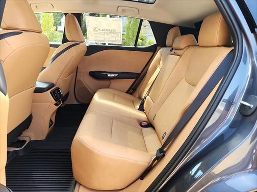 2025 Lexus RZ 450e Premium