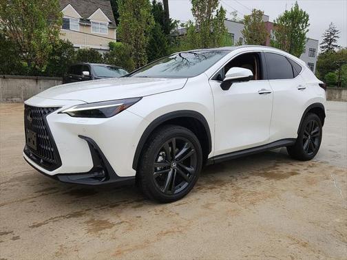 2025 Lexus NX 450h+ Luxury