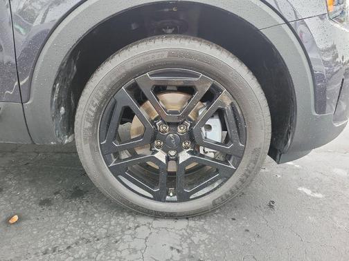 Panthera Metal 2025 Kia Telluride SX X-Line