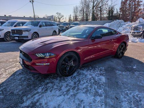 2021 Ford Mustang EcoBoost