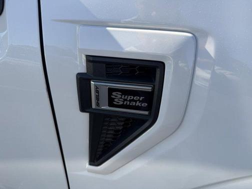 White Metallic 2021 Ford F-150 SNAKE