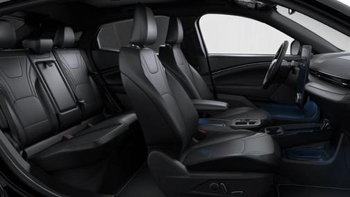 Shadow Black 2026 Ford Mustang Mach-E Premium