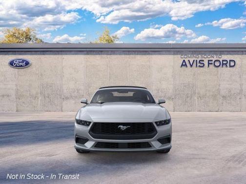 Avalanche Gray 2026 Ford Mustang Premium