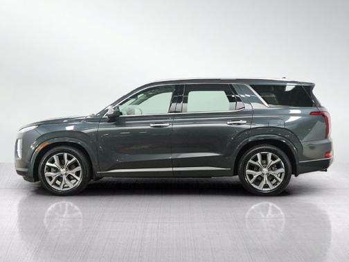 Rainforest 2021 Hyundai PALISADE Limited