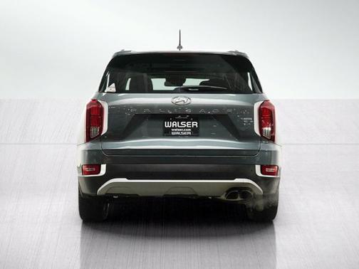Rainforest 2020 Hyundai PALISADE SEL
