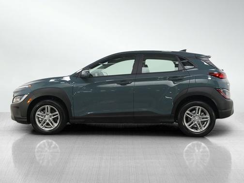 Cactus Fern 2022 Hyundai KONA SE