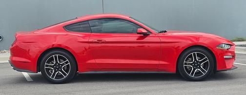 RACE RED 2019 Ford Mustang ECOBOOST PREMIUM