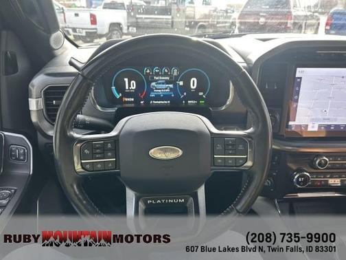 2021 Ford F-150 Platinum