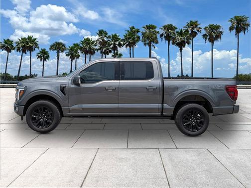 Carbonized Gray Metallic 2025 Ford F-150 Platinum