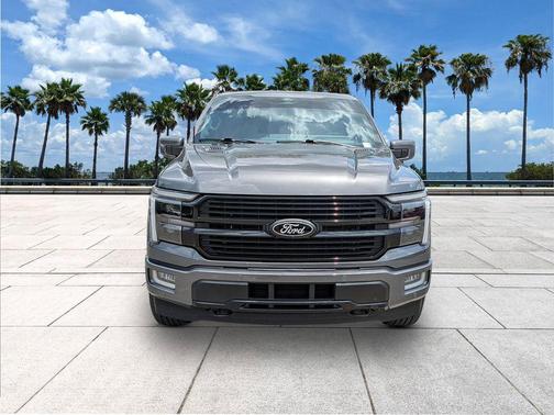 Carbonized Gray Metallic 2025 Ford F-150 Platinum