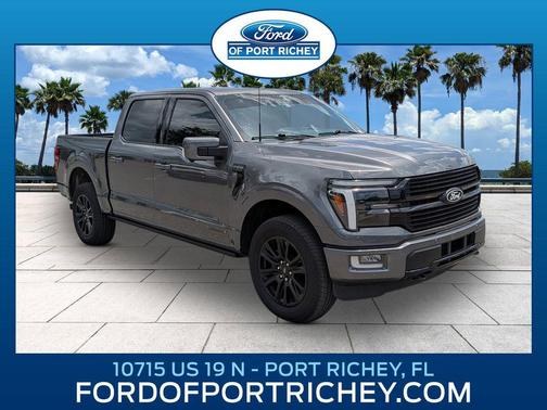 Carbonized Gray Metallic 2025 Ford F-150 Platinum